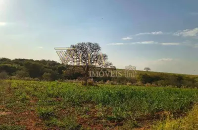 Chácara / sítio à venda no Cafezópolis, Araçatuba 