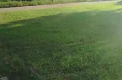 Terreno à venda em Mariscal, Bombinhas 