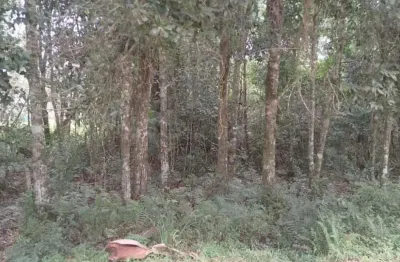 Terreno à venda em Mariscal, Bombinhas 