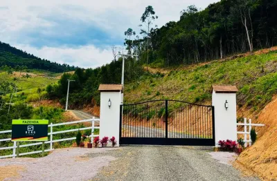 Terreno à venda, 20000 m² por r$ 380.000 - bergland - são martinho/sc