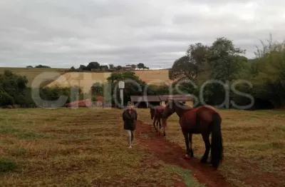 Chácara / sítio com 2 quartos à venda no centro, itararé , 13700 m2 por r$ 299.000