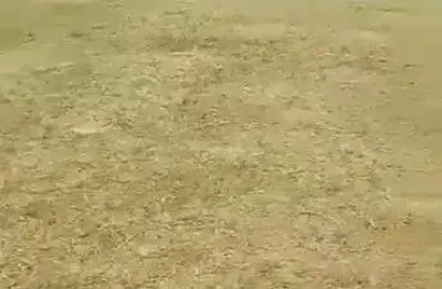 Terreno à venda na 4ª Avenida Centro Administrativo da Bahia, 765, Centro Administrativo da Bahia, Salvador