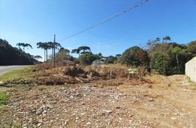 Terreno comercial para alugar na rua admar bertolli, 7546, jardim marambaia, almirante tamandaré, 500 m2 por r$ 2.000