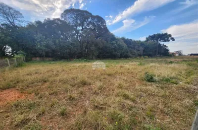 Terreno comercial para alugar na rua antônio bizetto, 14, vila ferrari, campo largo, 682 m2 por r$ 1.000