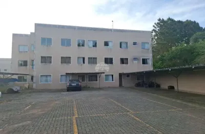 Apartamento com 2 quartos para alugar na rua austregésilo de atayde, 18, roseira, são josé dos pinhais, 47 m2 por r$ 750