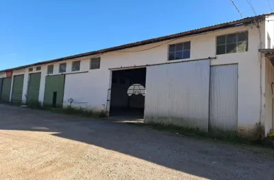 Barracão / galpão / depósito para alugar na rua rafael puchetti, 223, braga, são josé dos pinhais, 700 m2 por r$ 8.200