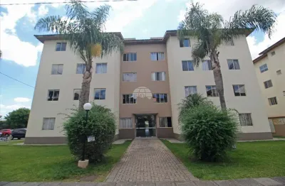 Apartamento com 3 quartos para alugar na Rua Adir Pedroso, 591, Iná, São José dos Pinhais, 60 m2 por R$ 1.600