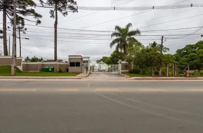 Apartamento com 2 quartos para alugar na rua vereador wadislau bugalski, 3690, lamenha grande, almirante tamandaré, 40 m2 por r$ 1.000
