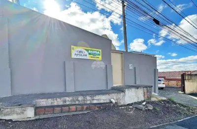 Kitnet / stúdio para alugar na rua achilles stenghel colle, 67, jardim rio verde, colombo, 30 m2 por r$ 900