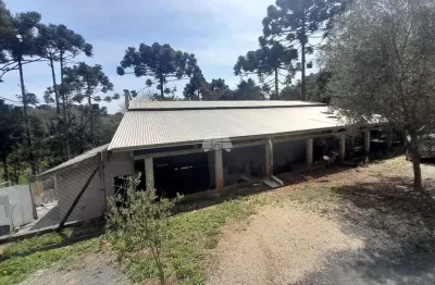 Barracão / galpão / depósito para alugar na rua antônio chemin, 176, roça grande, colombo, 400 m2 por r$ 6.000