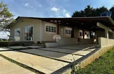 Chácara / sítio com 4 quartos para alugar na rua antonio antochevski, 16, mato branco, contenda, 620 m2 por r$ 22.000