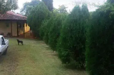 Fazenda à venda na Rua Dante Zanon, Jardim Alto do Cafezal, Londrina