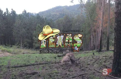 Terreno à venda no Rosário, Atibaia 