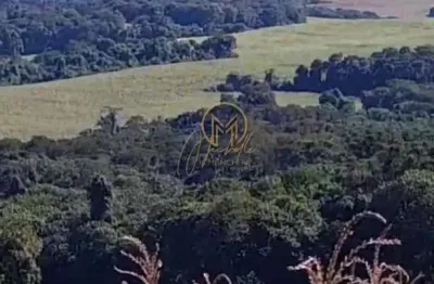 Fazenda à venda no centro, tamarana , 23718 m2 por r$ 49.500.000