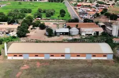 Galpão comercial/industrial para aluguel em distrito industrial, rondonópolis – 3.000 m² internos / 12.000 m² externos