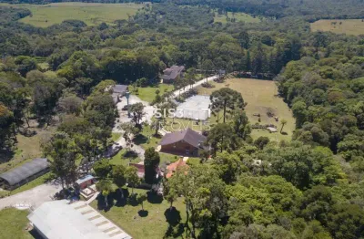 Chácara / sítio com 6 quartos à venda na rua joão batista de souza maceno, borda do campo, piraquara, 270 m2 por r$ 5.500.000