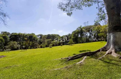 Terreno comercial à venda na rua josé kleina, planta almirante, almirante tamandaré por r$ 3.440.000