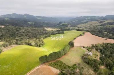 Fazenda à venda no Bateias, Campo Largo 