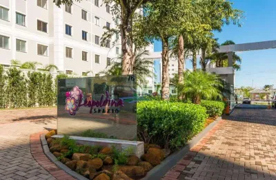 Apartamento com 2 dormitórios à venda, 46 m² por r$ 265.000,00 - gleba fazenda palhano - londrina/pr