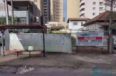Terreno para alugar, 462 m² por r$ 4.000,00/mês - centro - londrina/pr