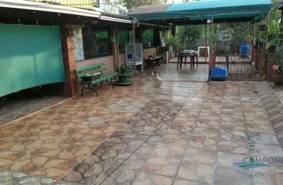 Chácara com 3 dormitórios à venda, 9000 m² por r$ 2.000.000,00 - jardim novo horizonte - rolândia/pr