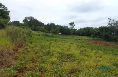 Terreno à venda, 2000 m² por r$ 300.000,00 - cafezal - londrina/pr