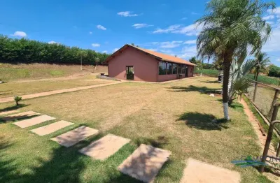 Chácara com 2 dormitórios para alugar, 10000 m² por r$ 12.000,00/mês - san rafael - ibiporã/pr