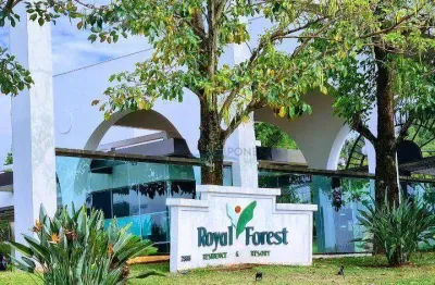 Sobrado com 4 dormitórios, 324 m² - venda por r$ 3.600.000,00 ou aluguel por r$ 10.000,00/mês - esperança - londrina/pr