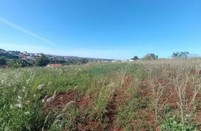 Chácara à venda, 1750 m² por r$ 185.000,00 - zona rural - assaí/pr
