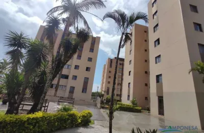 Apartamento com 3 dormitórios para alugar, 66 m² por R$ 1.780,00/mês - Amaro - Londrina/PR