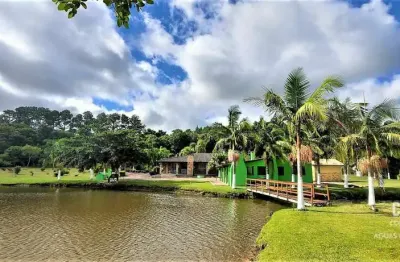 Chácara / sítio com 3 quartos à venda na Rodovia Rs-040 - Km 26 - Pd 83 (Brahma) - Beco Dos Pacheco, 1612, Águas Claras, Viamão