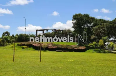 Terreno em condomínio fechado à venda na Rua das Araras, 28, Alphaville - Lagoa dos Ingleses, Nova Lima