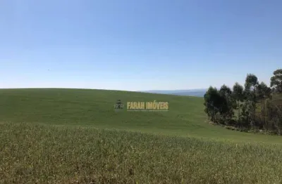 Chácara / sítio com 3 quartos à venda na Zona Rural, Tamarana 