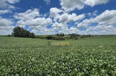 Chácara / sítio com 6 quartos à venda no Parque Industrial José Garcia Gimenes, Cambé 