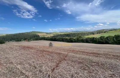 Chácara / sítio com 3 quartos à venda em Guaravera, Londrina 