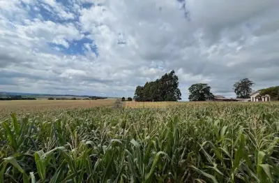 Chácara / sítio com 1 quarto à venda em Guaravera, Londrina 