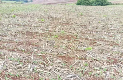 Chácara / sítio com 1 quarto à venda em Paiquerê, Londrina 