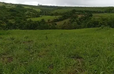 Chácara 12 hectares a venda em monte carmelo - mg12 hectares de área total, formado em pasto, plantação, córrego e mais!aproveite essa oportunidade! josé edlanio - corretor de imóveis - creci mgf 5133