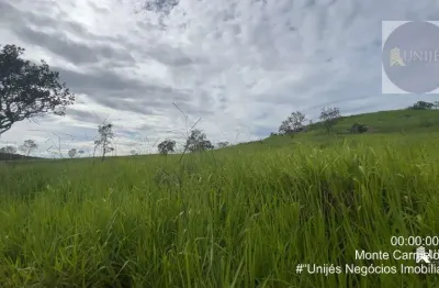 Fazenda com dupla aptidão em monte carmelo-mg: 78ha na zona rural, com pasto formado, rio, curral e documentação ok!