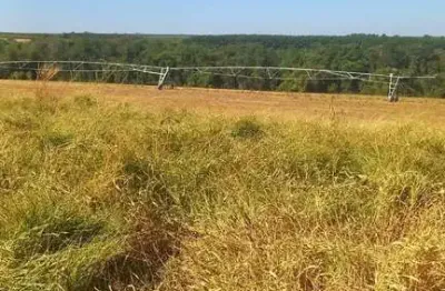Fazenda à venda na zona rural, indianópolis  por r$ 12.500.000