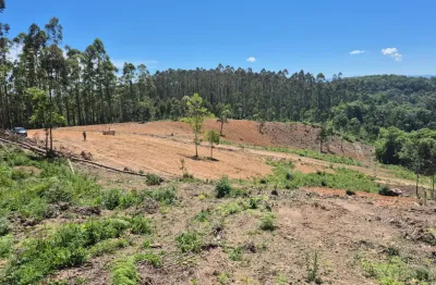 Vende-se chácara 72.600 m² no bairro saltinho, tijucas do  sul - pr