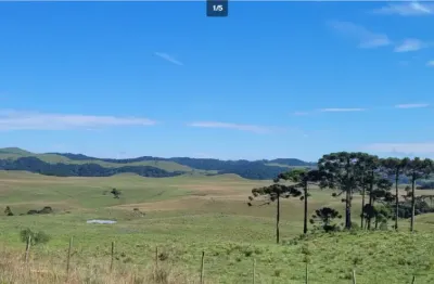 Terras na FAZENDA TIJUCAS! Ótima oportunidade de investimento!