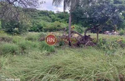 Terreno à venda no Centro, Touros 