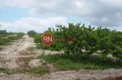 Granja para venda em ceará-mirim, santa águeda, 2 dormitórios, 1 banheiro