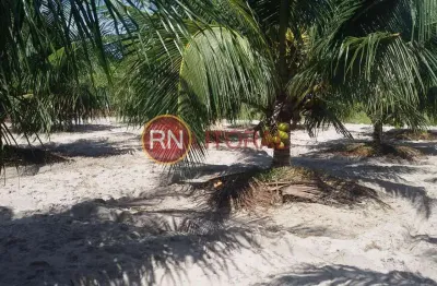 Granja para venda em ceará-mirim, santa águeda, 3 dormitórios, 1 banheiro, 3 vagas