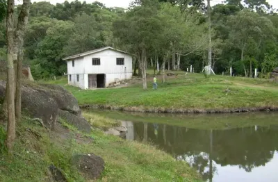 Chácara / sítio com 5 quartos à venda em Borda do Campo, Quatro Barras 