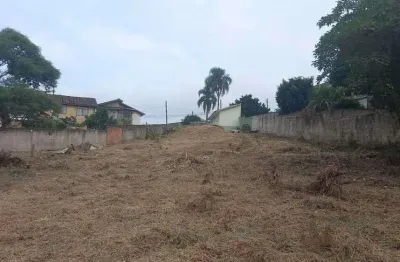 Terreno à venda na Rua das Hortênsias, 366, São Dimas, Colombo