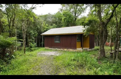 Chácara / sítio com 2 quartos à venda no Palmitalzinho, Quatro Barras 