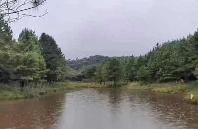 Chácara / sítio com 1 quarto à venda na Zona Rural, São José dos Pinhais 
