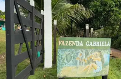 Fazenda à venda na Japu, Área Rural de Ilhéus, Ilhéus